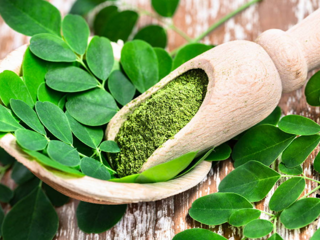Learn How to understand the Market Potential of Moringa Health Supplements