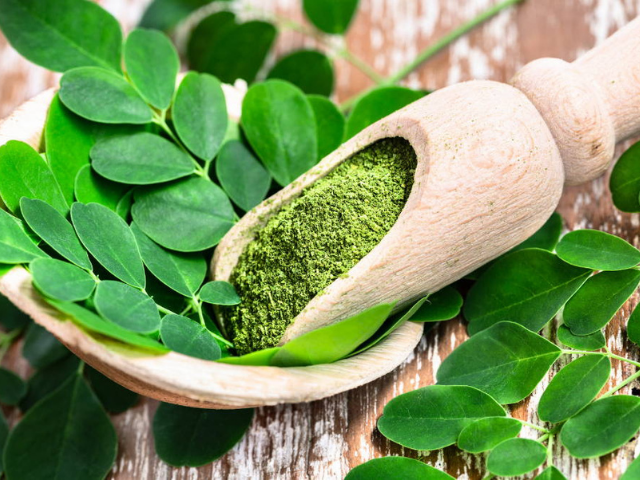 Moringa Health Supplements: SWOT Analysis to understand Market Potential