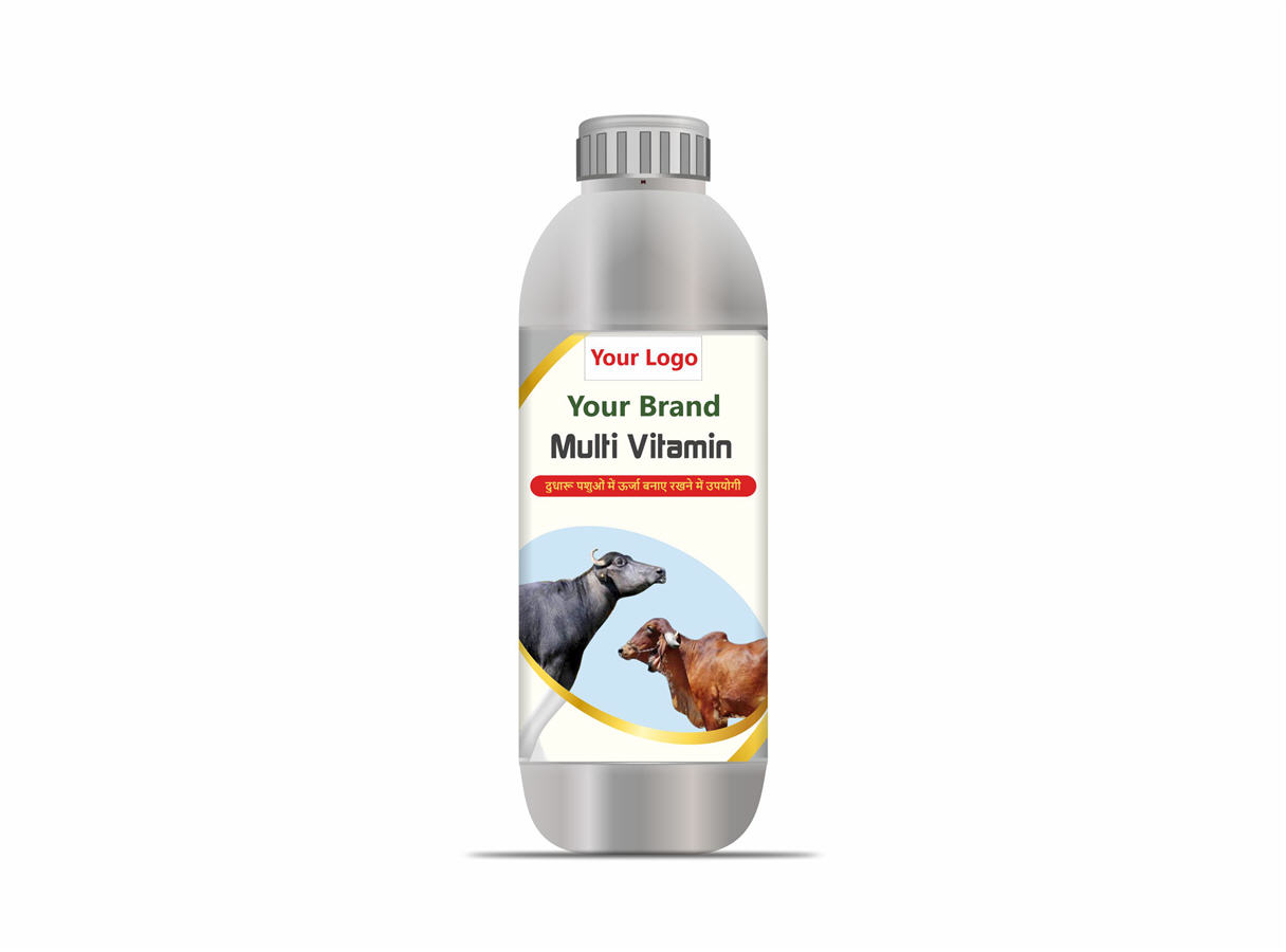 Multi-Vitamin Cattle Tonic Manufacturer